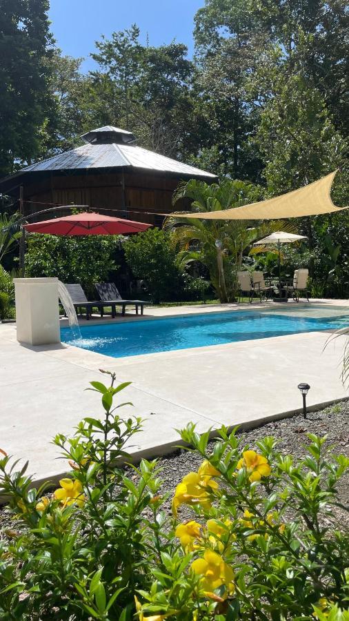 La Amapola Lodge, Bungalow En Peninsula De Osa. Barrigones Eksteriør bilde