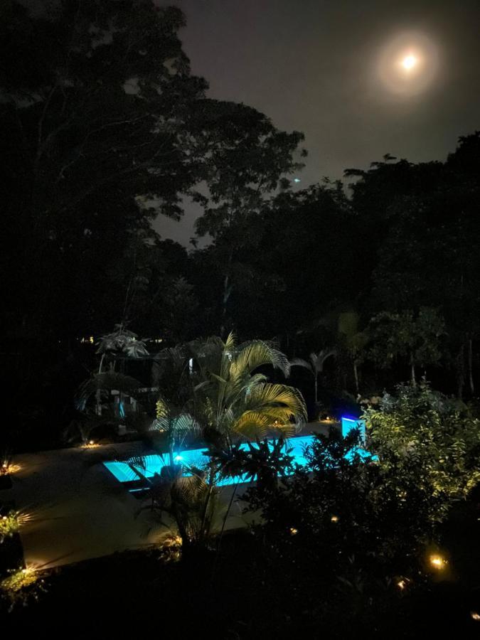 La Amapola Lodge, Bungalow En Peninsula De Osa. Barrigones Eksteriør bilde